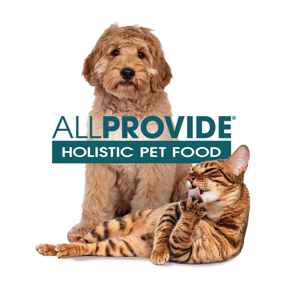 holistic pet food store